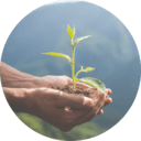 Ecología